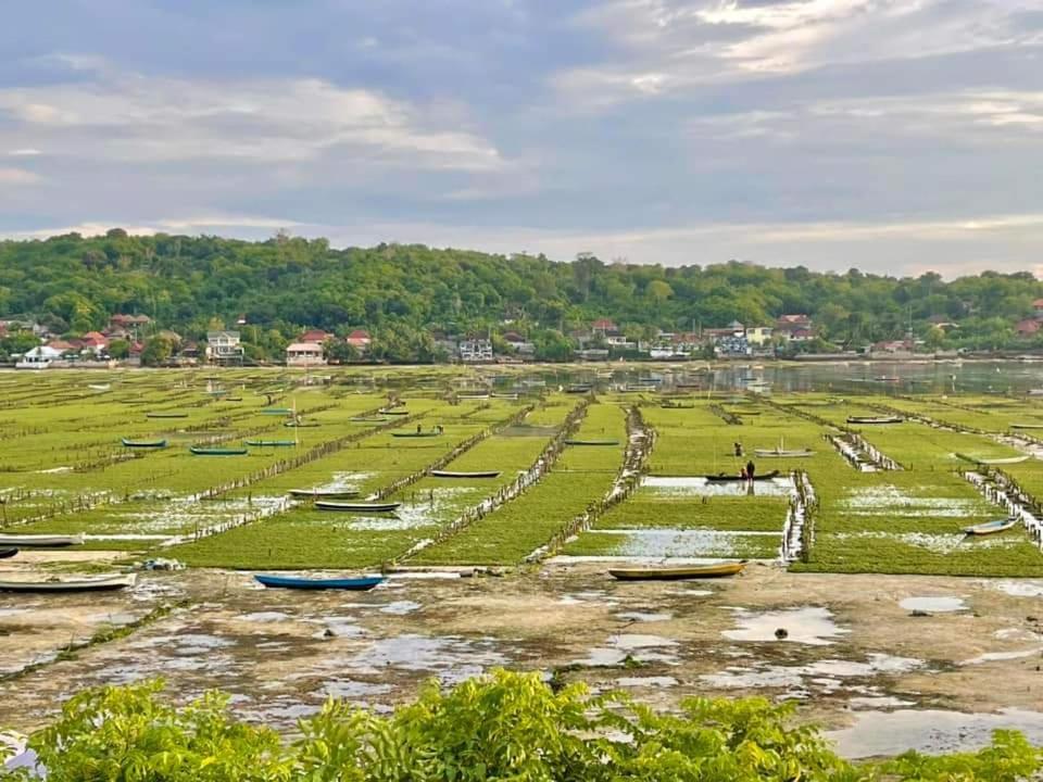 Lebaoh Nusa Cottage Нуса Лембонган Екстериор снимка
